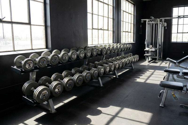 Pro-Style Dumbbells in Commercial Gym